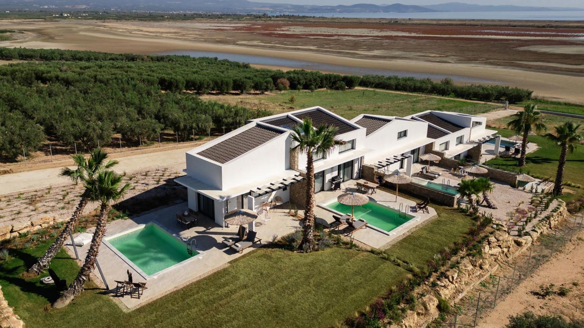 Flamingo View &