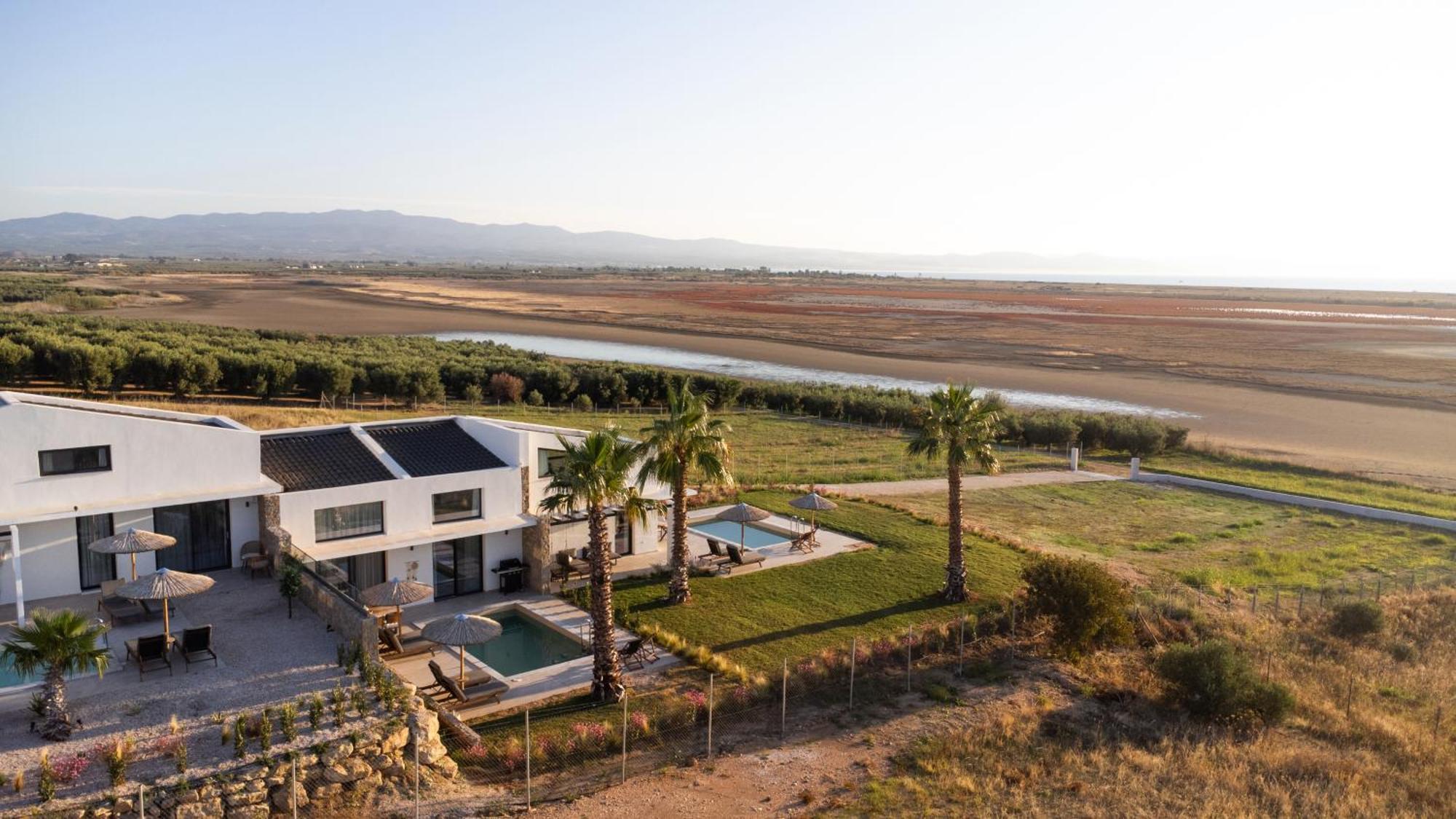 Flamingo View &