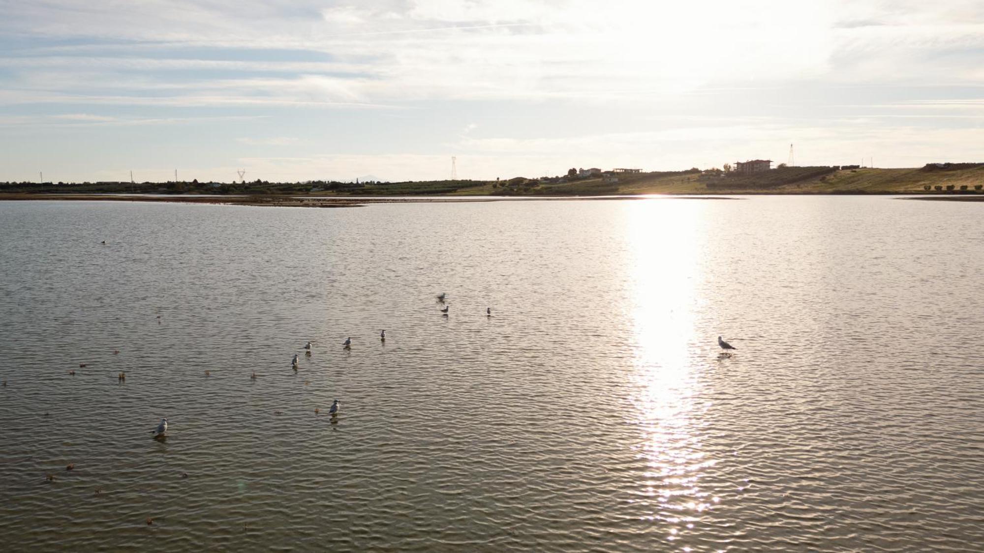 Flamingo View & * Nea Poteidaia