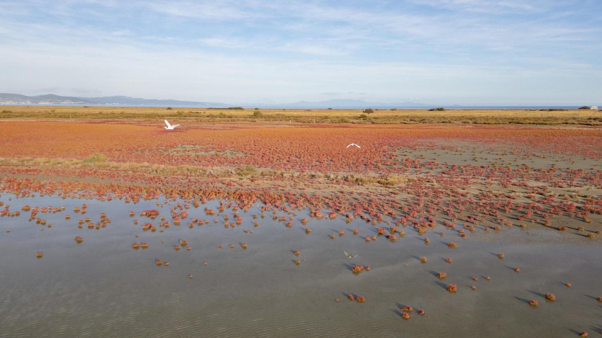 Ξενοδοχείο με διαμερίσματα Flamingo View &